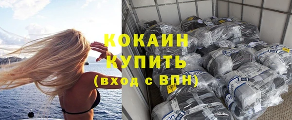 амф Новозыбков