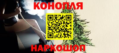 стаф Камышлов