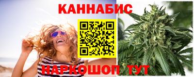 стаф Камышлов