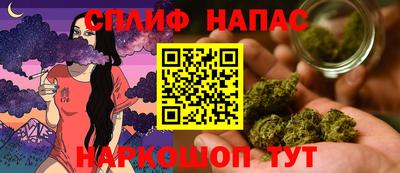 стаф Камышлов