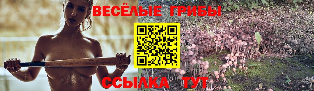 Улан-Удэ  Псилоцибиновые грибы Magic Shrooms  Вход с VPN  Галлюциногенные грибы Psilocybe 